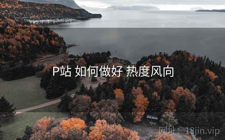 P站 如何做好 热度风向 第2张 P站 如何做好 热度风向 第2张