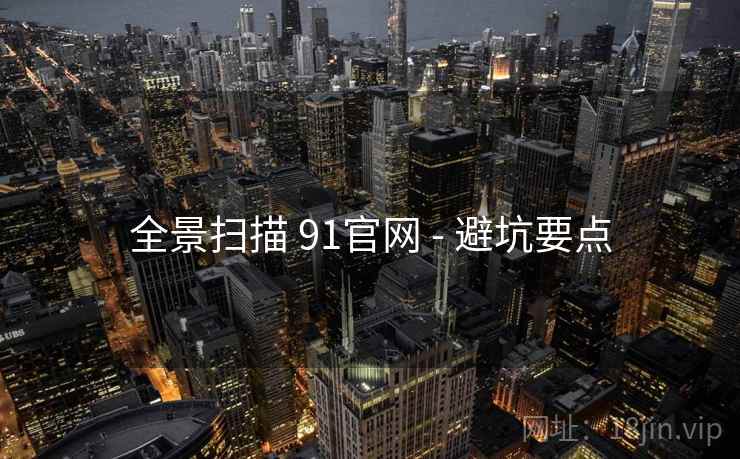 全景扫描 91官网 - 避坑要点 第2张 全景扫描 91官网 - 避坑要点 第2张
